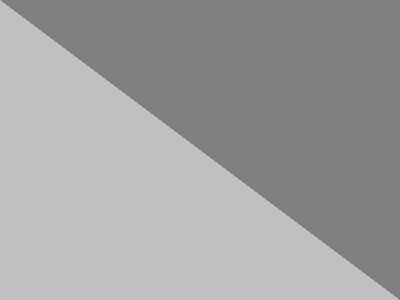 Grey/Silver