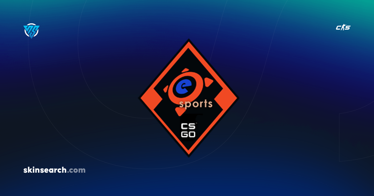 The eSports 2013 Collection CS2 Skins and Items | SkinSearch