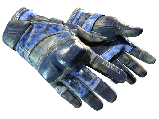 Moto Gloves | Polygon