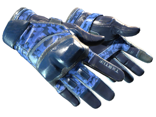 Moto Gloves | Polygon
