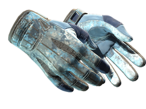 Sport Gloves | Frosty