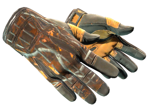 Sport Gloves | Big Game