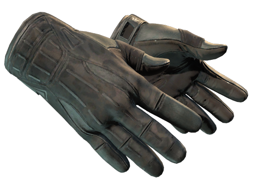 Sport Gloves - SkinSearch
