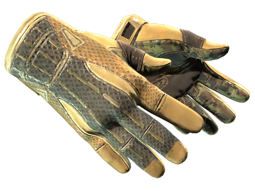 Sport Gloves - SkinSearch