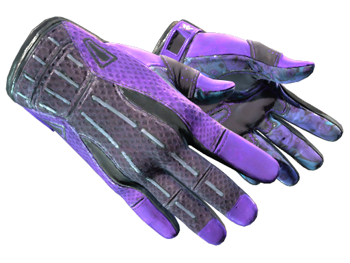 Sport Gloves - SkinSearch