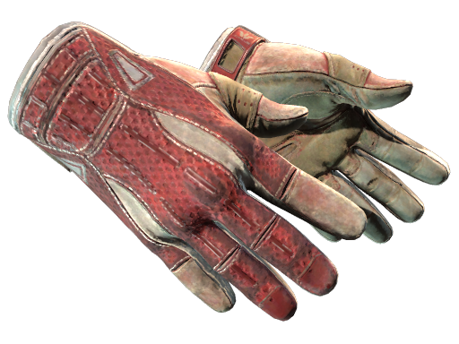 Sport Gloves | Slingshot