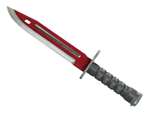 Bayonet | Autotronic
