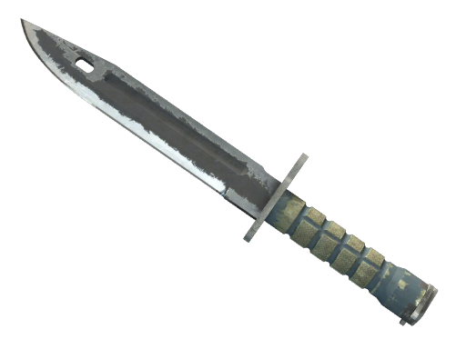 Bayonet | Night
