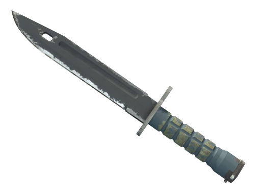 Bayonet | Night