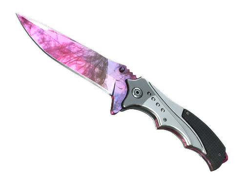 Nomad Knife | Doppler (Phase 2)