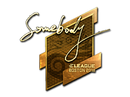 somebody (Gold) | Boston 2018