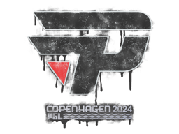 paiN Gaming | Copenhagen 2024
