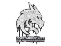 Team Spirit | Copenhagen 2024