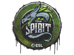 Team Spirit | Katowice 2019