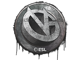 ViCi Gaming | Katowice 2019