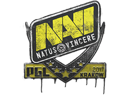 Natus Vincere | Krakow 2017